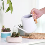 Indoor Watering Can with Long Spout, 16oz Metal Watering Can Plant Watering Can Mini Watering Can with Wood Handle for Indoor Plants, Bonsai Outdoor Garden Flower (White) - Image 5