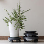 Plant Tray Plant Drip Trays Drip Pan Movable Round with Drip Tray for Indoor Outdoor Plant Caddy(Black,27cm/11in) - Image 5