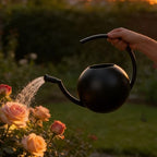 Watering Can Indoor Plants, 1L Cute Watering Pot, Metal Stainless Steel Garden Water Can with Long Spout for Indoor House Plants Bonsai Outdoor Garden Flower Decorative - Image 5