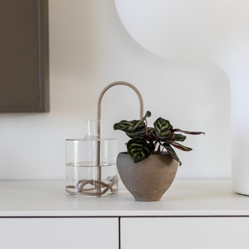 Beautiful Self-Watering Wick System for Effortless Plant Care, Automatic Drip Irrigation, Sustainable & Stylish Scandinavian Design, Ideal for House Plants (M, Beige Sand) - Image 7