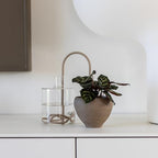 Beautiful Self-Watering Wick System for Effortless Plant Care, Automatic Drip Irrigation, Sustainable & Stylish Scandinavian Design, Ideal for House Plants (M, Beige Sand) - Image 7