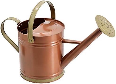 Classic Shiny Galvanized Metal Watering Can, Easy-Pour, Indoor and Outdoor, 1.3 gal, Shiny Galvanized Metal by Unknown