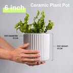 Orchid Pot,Ceramic Plant Pot with Clear Orchid Pot,6 inch,White - Image 3