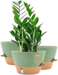 12 Inch Self Watering Pot with Visual Water Window, Drainage Holes & Watering Lip, Set of 3 Large Plastic Planters for Indoor Outdoor Plants, Modern Decorative Flower Pot (Green) by FIASON