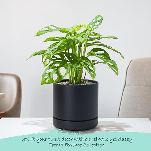 Phoenix Vine 6 Inch Planter Pot with Drainage Hole & Saucer, Deep Water Catch Tray, Straight Cylindrical Round Pot for Plants, Matte Black, Pack of 4, 23-C-S-4 - Image 6