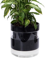 Phoenix Vine 10 Inch Self Watering Terracotta Planter, Black Terracotta Clay Pot with Glass Reservoir for Indoor Plants, Herbs, Flowers, Set of 1, 52-C-I-1 by Phoenix+Vine