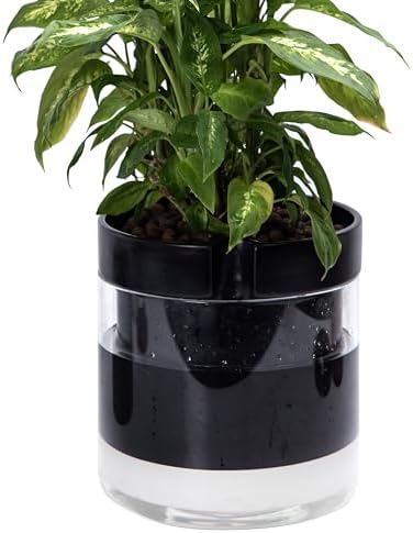 Phoenix Vine 10 Inch Self Watering Terracotta Planter, Black Terracotta Clay Pot with Glass Reservoir for Indoor Plants, Herbs, Flowers, Set of 1, 52-C-I-1 by Phoenix+Vine