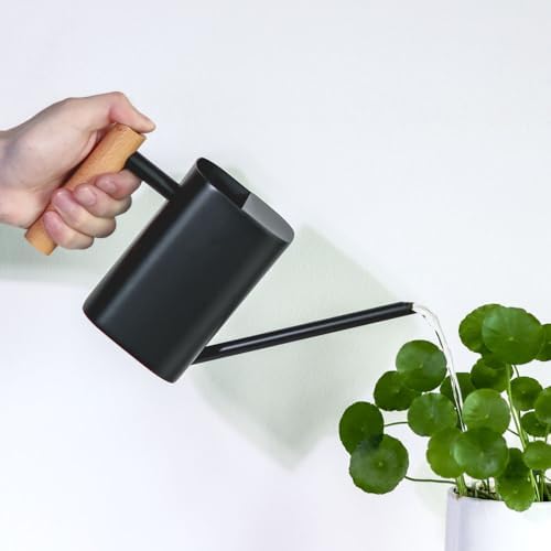 Black Watering Can, 800ml/27oz for Indoor Plants - Image 3