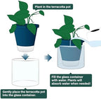 D'vine Dev Self-Watering Blue Terracotta Planter Pot, 8 in, 37-X-C-4 - Image 4