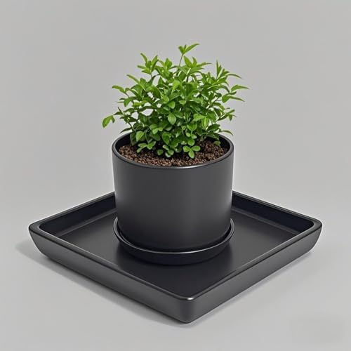 Square Ceramic Plant Saucer Tray 2 Pcs 6 7 8 Inch Black, 8" OD x6.7 ID x1.2 Deep, Sturdy Heavy Duty Glazed Planter Drip Flower pots with Catch Basin for Indoor Outdoor Plants(8" Black) - Image 4