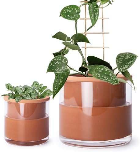 Phoenix Vine 4 Inch 6 Inch Self Watering Plants Pots, Design Terracotta Pots for Plants, Indoor Cylinder Terra Cotta Planter with Glass Vase Set, 51-A-G-46 by Phoenix+Vine
