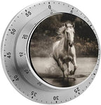 Mechanical Kitchen Timers for Cooking,Horse Running by The Water Printed 60 Minute Magnetic Countdown Timer,Cute Cooking Timers with Alarm,Stainless Steel Time Timer Manual No Batteries Required by Unknown