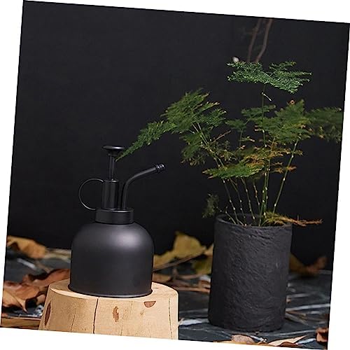 Vintage Black Stainless Steel Plant Mister Spray Bottle for Indoor Use - Image 5