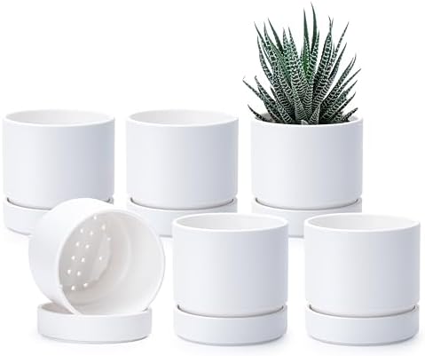 Phoenix Vine 4 Inch Planter Pot with Drainage Hole & Saucer, Deep Water Catch Tray, Straight Cylindrical Round Pot for Plants, Matte White, Pack of 6, 23-B-R-6 by Phoenix+Vine