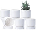 Phoenix Vine 4 Inch Planter Pot with Drainage Hole & Saucer, Deep Water Catch Tray, Straight Cylindrical Round Pot for Plants, Matte White, Pack of 6, 23-B-R-6 by Phoenix+Vine