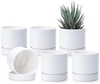 Phoenix Vine 4 Inch Planter Pot with Drainage Hole & Saucer, Deep Water Catch Tray, Straight Cylindrical Round Pot for Plants, Matte White, Pack of 6, 23-B-R-6 by Phoenix+Vine