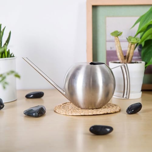 Stainless Steel Watering Can with Long Spout, 1l Indoor Gardening Kettle for Succulent Plants and Bonsai, Sturdy Bottle for Watering Flowers and Houseplants - Image 5