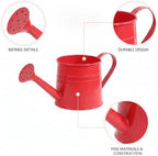 Metal Watering Can, 1 Liter Iron Vessel for Indoor Plants and Houseplants (1 PC) - Image 6