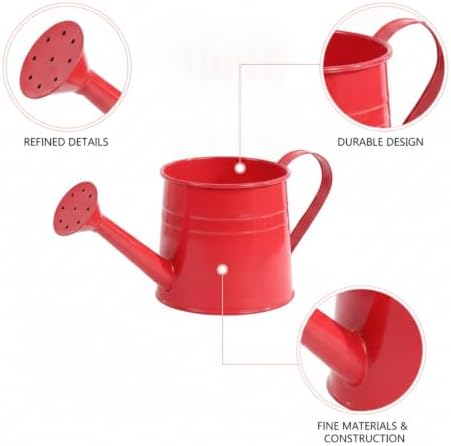 Metal Watering Can, 1 Liter Iron Vessel for Indoor Plants and Houseplants (1 PC) - Image 6