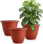 RooTrimmer 3-Pack 16 Inch Large Outdoor Plastic Plant Pots with Drainage Holes – Durable,Lightweight & Weather-Resistant Flower Planters for Patio,Garden,Balcony (Pottery Red) by RooTrimmer