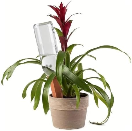 6Pcs Terracotta Self Watering Spikes, Automatic Watering Stakes - Image 3