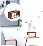 Simple Hydroponics Glass Planter with Wooden Bracket for Flowers - Image 4