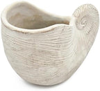 Nautilus Shell Planter, 11.5 Inch, Textured Beige Finish - Image 4