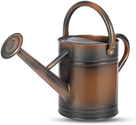 1 Gallon Watering Can for Plants, Watering Cans for Indoor&Outdoor Gardening, Galvanized Steel Watering Pot with Removable Spout, Metal Water Can with Ergonomic Movable Handle(Copper) by Unknown
