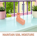 1 Pair Terracotta Watering Spikes for Planter Boxes and Cacti - Image 3