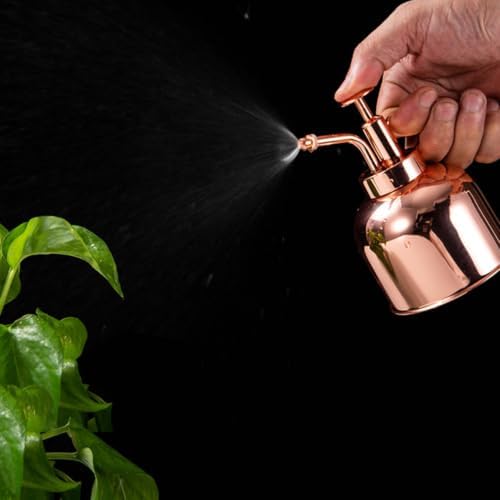 Vintage Succulent Watering Bottle with Pump Stainless Steel Mister - Image 6