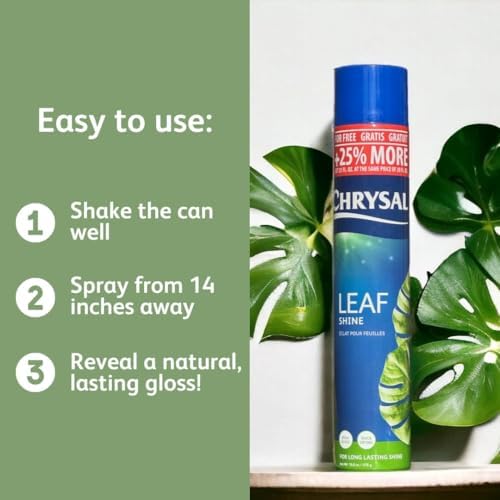 Chrysal LeafShine Spray for Indoor Plants (25oz 6 Pack) - Image 6
