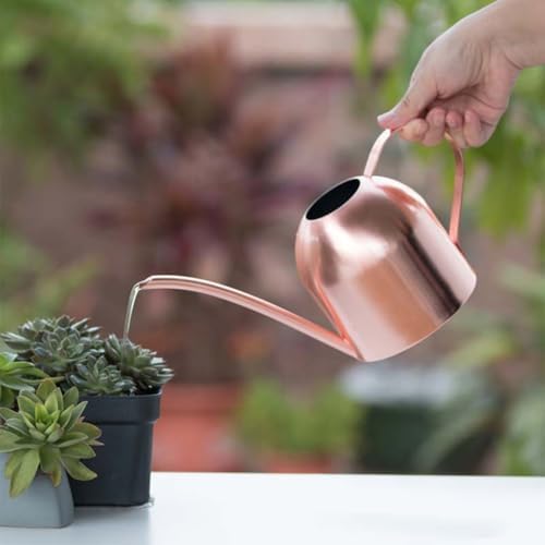 Stainless Steel Watering Can 1000ml Long Mouth with Handle - Image 6