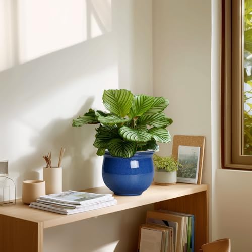 6 Inch Self Watering Pots, Ceramic African Violet Planter with Absorbent Inner Pot, Round Flower Pot for Indoor Plants, Ceramic Pots for Plants, Room Home Decor, Plant Lover Gifts, Blue - Image 7