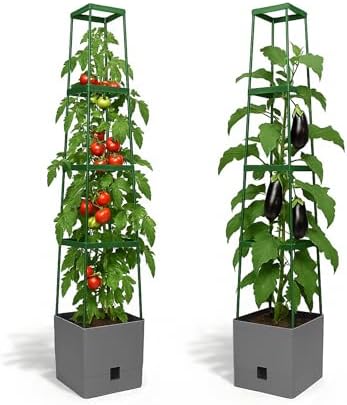 Bio Green 2 Pack Garden Tomato Planter MAXITOM, with Plant Support Trellis 59 inch and Self Watering, 4,2 Gal Planter Box for Climbing Vegetables Plants, Gray by BioGreenUSAInc