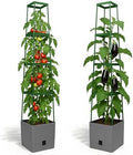 Bio Green 2 Pack Garden Tomato Planter MAXITOM, with Plant Support Trellis 59 inch and Self Watering, 4,2 Gal Planter Box for Climbing Vegetables Plants, Gray by BioGreenUSAInc
