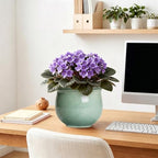 Ceramic Self Watering Planter, 8 Inch African Violet Pots, Green - Image 7