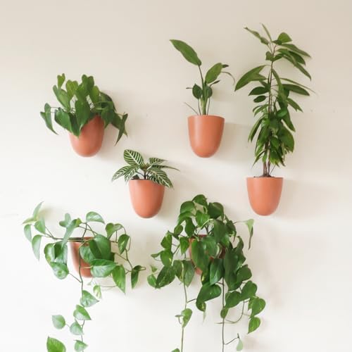 Make Good PlantPod Luxe - Self-Watering Wall Planters (Set of 6, Terracotta) - Easy to Water and Install - Lightweight - Design Your Own Vertical Garden - Wall Planters for Indoor Plants by MakeGood