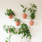 Make Good PlantPod Luxe - Self-Watering Wall Planters (Set of 6, Terracotta) - Easy to Water and Install - Lightweight - Design Your Own Vertical Garden - Wall Planters for Indoor Plants by MakeGood
