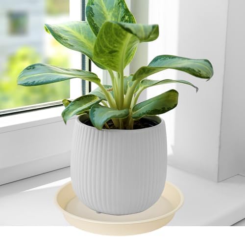 4 Pack of 14 inch Plant Saucers Bird Bath Bow Round, Plastic Plant Saucer Tray for Pots, White Planters for Indoor Plants, Plant Trays for Planter 12-15" (14", Beige) - Image 4
