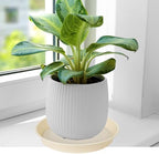 4 Pack of 14 inch Plant Saucers Bird Bath Bow Round, Plastic Plant Saucer Tray for Pots, White Planters for Indoor Plants, Plant Trays for Planter 12-15" (14", Beige) - Image 4