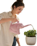 2L Large Capacity Watering Kettle Ergonomic Handle for (B) - Image 2