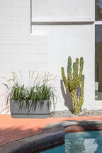Veradek Demi Series Long Planter for Porch, Patio, Backyard | Durable Plastic-Concrete Material | Modern Décor for Shrubs, Flowers - Image 5