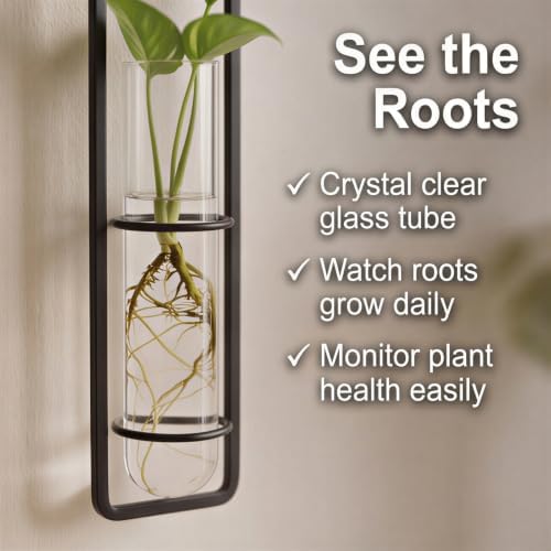 METALLIXITY Hanging Clear Glass Hydroponic Plant Propagation Tube Vase 3Pcs - Image 5