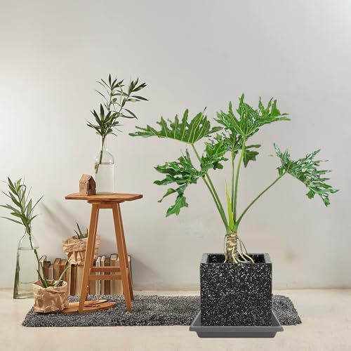 Plant Saucer 12 Inch Square 4 Pack, Plastic Plant Drip Trays, Plant Saucers for Indoors and Outdoors, Flower Pot Saucers, Saucers for Potted Plants, Planter Saucer, Plant Water Catcher Trays for Pots - Image 6
