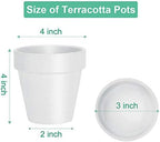 vensovo 4 Inch White Terracotta Plant Pots with Saucer - 6 Pack Clay Flower Pots with Drainage, Great for Plants, Crafts, Wedding Favor - Image 3