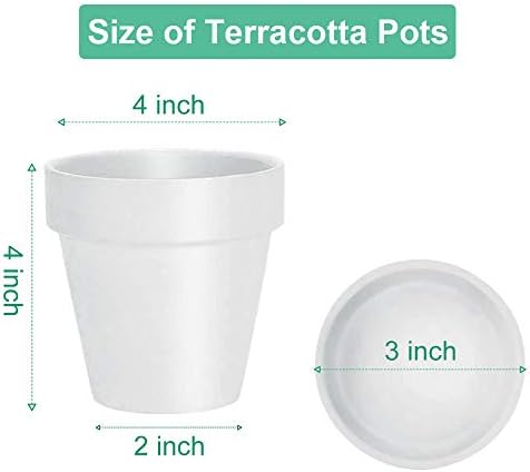 vensovo 4 Inch White Terracotta Plant Pots with Saucer - 6 Pack Clay Flower Pots with Drainage, Great for Plants, Crafts, Wedding Favor - Image 3