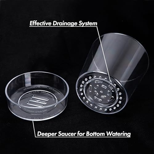 Phoenix Vine 6.5 Inch Clear Acrylic Planter Pot with Tray, Orchid Pot with Drainage Holes, Deep Saucer for Bottom Watering, Transparent Containers for Indoor Plants, Herbs, Set of 3, 91-A-F-3 - Image 5