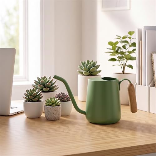 Plant Watering Can, Metal Small Indoor Watering Can with Long Spout & Real Wood Handle for House-Plants, Succulents, Cacti & Seedlings, Small Bonsai Outdoor Garden Modern Decorative - Image 3