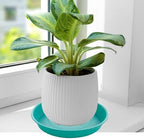 4 Pack of 14 inch Plant Saucers Bird Bath Bow Round, Plastic Plant Saucer Tray for Pots, White Planters for Indoor Plants, Plant Trays for Planter 12-15" (14", Teal) - Image 4