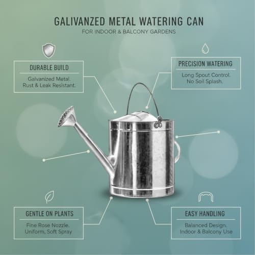Watering Can - Image 5